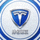 TES战队排名第三Logo